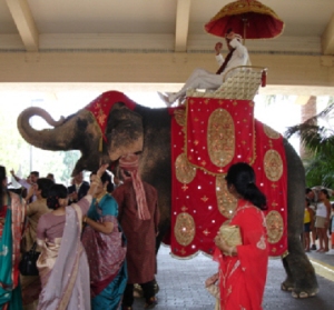 Indian Royal Hoda Elephant from Zohar Productions
